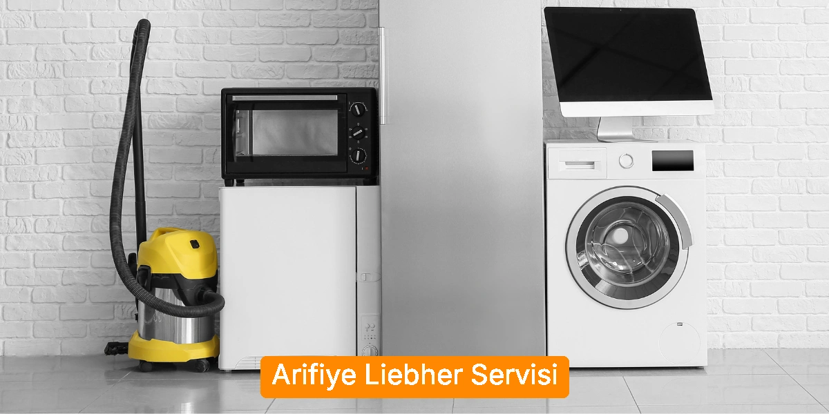 Arifiye Liebher Servisi