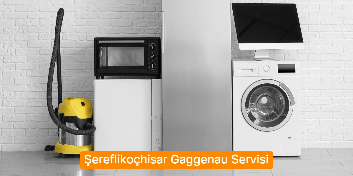 Şereflikoçhisar Gaggenau Servisi