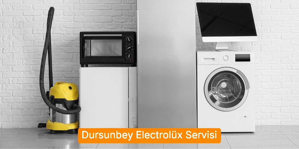 Dursunbey Electrolüx Servisi